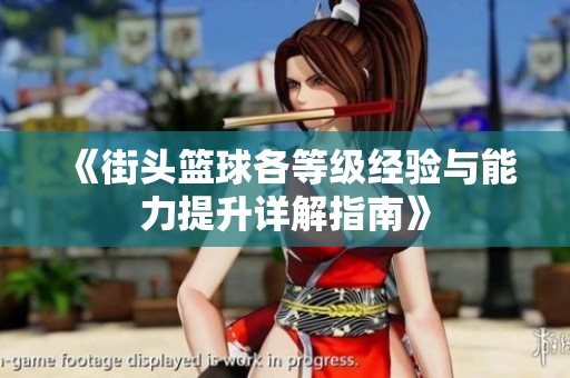 《街头篮球各等级经验与能力提升详解指南》