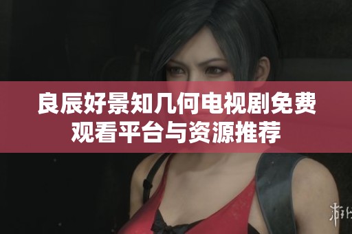 良辰好景知几何电视剧免费观看平台与资源推荐