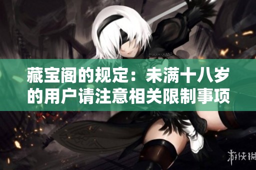 藏宝阁的规定：未满十八岁的用户请注意相关限制事项