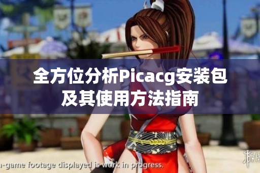 全方位分析Picacg安装包及其使用方法指南