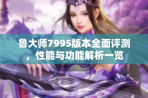 鲁大师7995版本全面评测，性能与功能解析一览