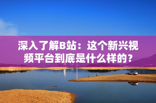 深入了解B站：这个新兴视频平台到底是什么样的？