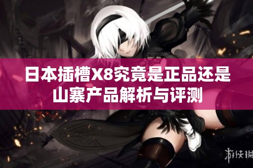 日本插槽X8究竟是正品还是山寨产品解析与评测