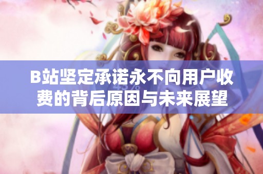 B站坚定承诺永不向用户收费的背后原因与未来展望
