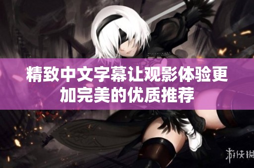 精致中文字幕让观影体验更加完美的优质推荐