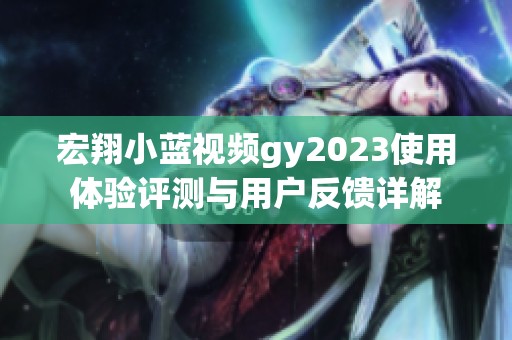 宏翔小蓝视频gy2023使用体验评测与用户反馈详解