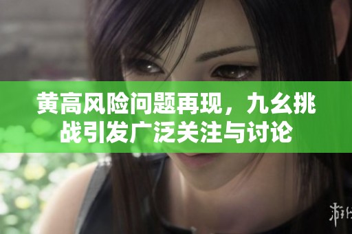 黄高风险问题再现，九幺挑战引发广泛关注与讨论