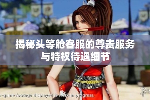 揭秘头等舱客服的尊贵服务与特权待遇细节