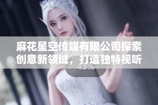 麻花星空传媒有限公司探索创意新领域，打造独特视听体验