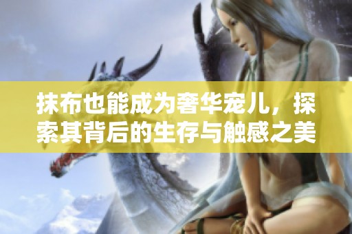 抹布也能成为奢华宠儿，探索其背后的生存与触感之美
