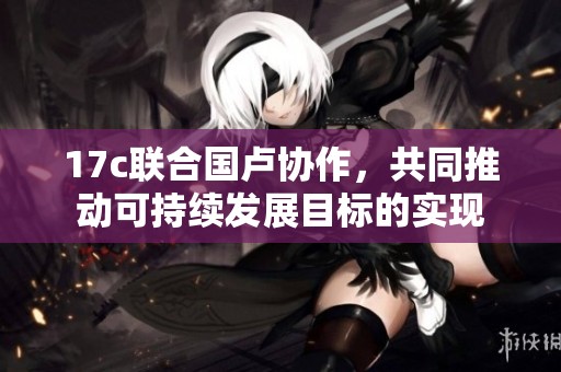 17c联合国卢协作，共同推动可持续发展目标的实现