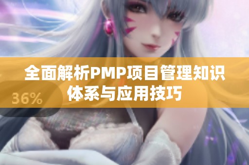 全面解析PMP项目管理知识体系与应用技巧