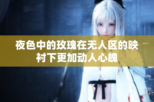 夜色中的玫瑰在无人区的映衬下更加动人心魄