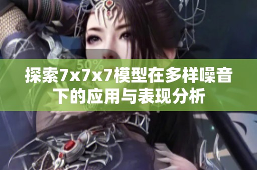探索7x7x7模型在多样噪音下的应用与表现分析