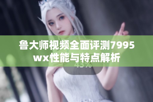 鲁大师视频全面评测7995wx性能与特点解析