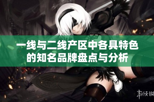 一线与二线产区中各具特色的知名品牌盘点与分析