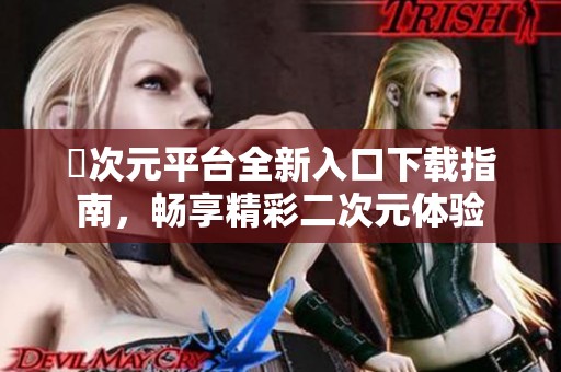 囧次元平台全新入口下载指南，畅享精彩二次元体验