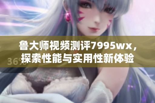 鲁大师视频测评7995wx，探索性能与实用性新体验