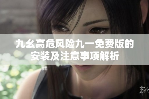 九幺高危风险九一免费版的安装及注意事项解析