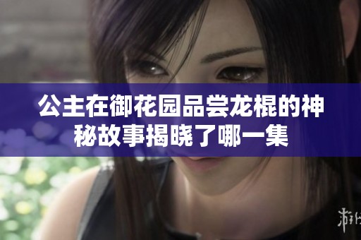 公主在御花园品尝龙棍的神秘故事揭晓了哪一集