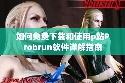 如何免费下载和使用p站Probrun软件详解指南