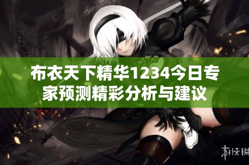 布衣天下精华1234今日专家预测精彩分析与建议