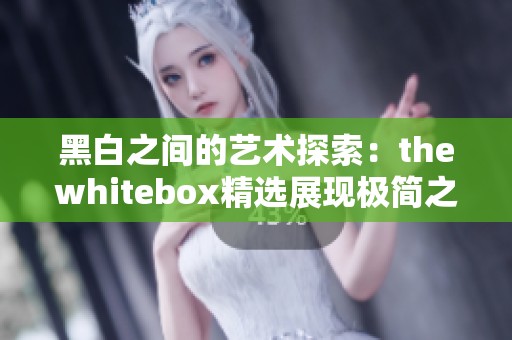 黑白之间的艺术探索：thewhitebox精选展现极简之美
