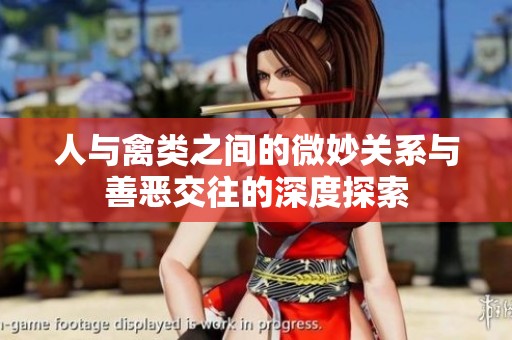 人与禽类之间的微妙关系与善恶交往的深度探索
