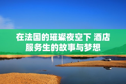 在法国的璀璨夜空下 酒店服务生的故事与梦想