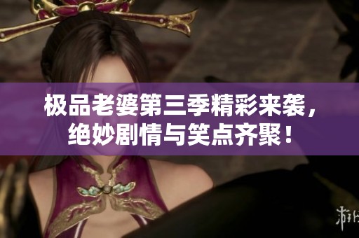 极品老婆第三季精彩来袭，绝妙剧情与笑点齐聚！