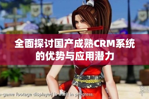 全面探讨国产成熟CRM系统的优势与应用潜力