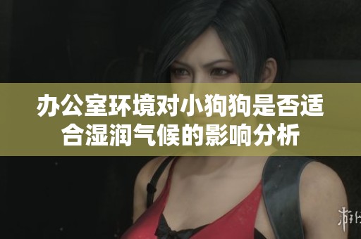 办公室环境对小狗狗是否适合湿润气候的影响分析