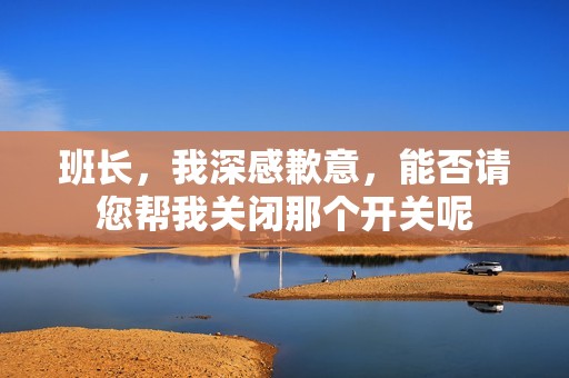 班长，我深感歉意，能否请您帮我关闭那个开关呢