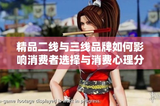 精品二线与三线品牌如何影响消费者选择与消费心理分析