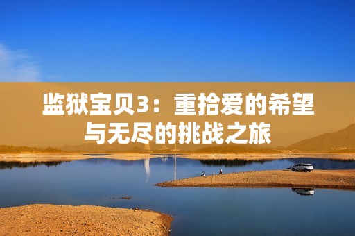 监狱宝贝3：重拾爱的希望与无尽的挑战之旅
