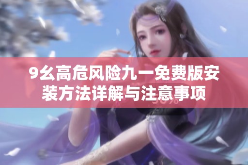 9幺高危风险九一免费版安装方法详解与注意事项