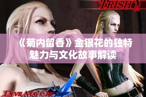 《菊内留香》金银花的独特魅力与文化故事解读