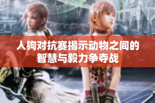 人狗对抗赛揭示动物之间的智慧与毅力争夺战