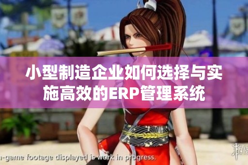 小型制造企业如何选择与实施高效的ERP管理系统