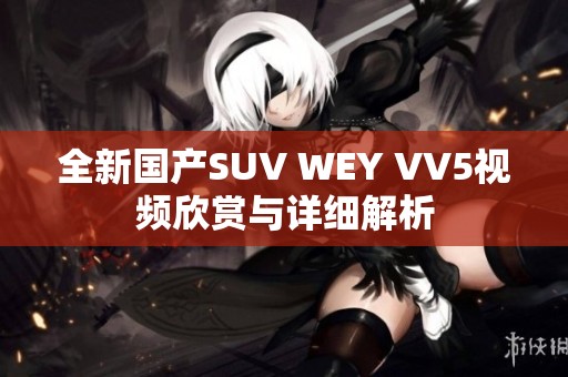 全新国产SUV WEY VV5视频欣赏与详细解析