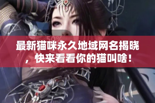 最新猫咪永久地域网名揭晓，快来看看你的猫叫啥！