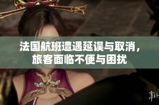 法国航班遭遇延误与取消，旅客面临不便与困扰