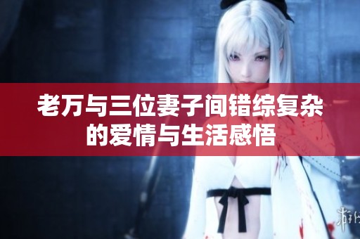 老万与三位妻子间错综复杂的爱情与生活感悟