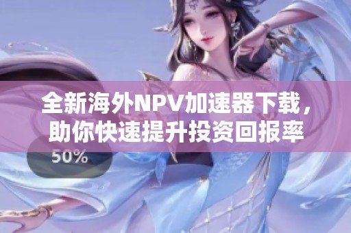 全新海外NPV加速器下载，助你快速提升投资回报率