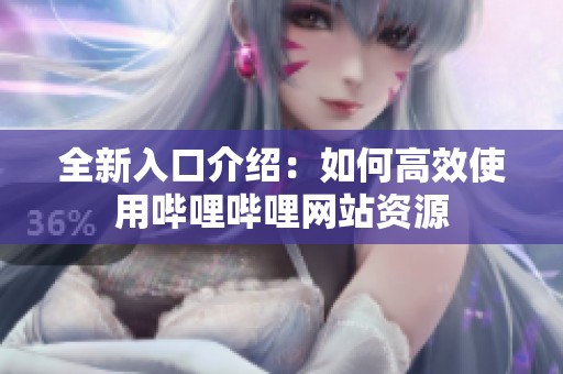 全新入口介绍：如何高效使用哔哩哔哩网站资源
