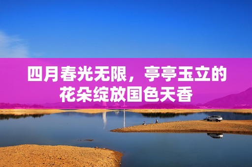 四月春光无限，亭亭玉立的花朵绽放国色天香