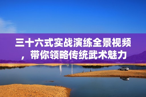 三十六式实战演练全景视频，带你领略传统武术魅力