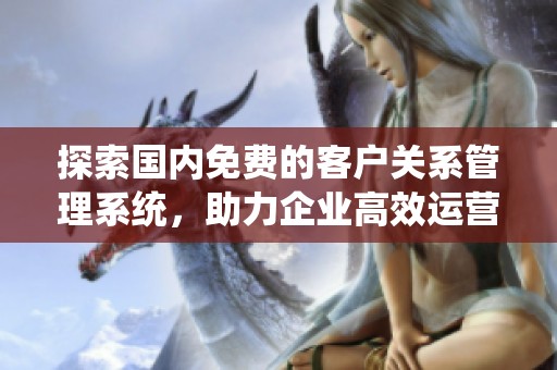 探索国内免费的客户关系管理系统，助力企业高效运营与客户服务