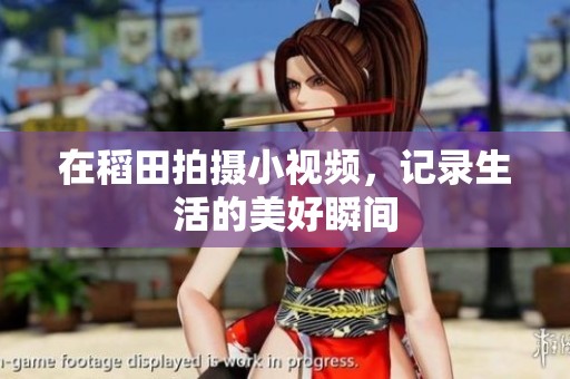 在稻田拍摄小视频，记录生活的美好瞬间