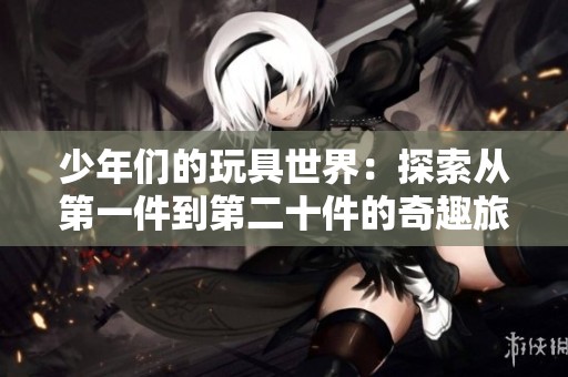 少年们的玩具世界：探索从第一件到第二十件的奇趣旅程
